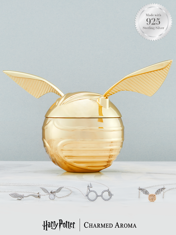 Harry Potter Golden Snitch Oorstekerset zilverkleurig 925 Sterling Zilver Cadeaus, Fan merch, Film
